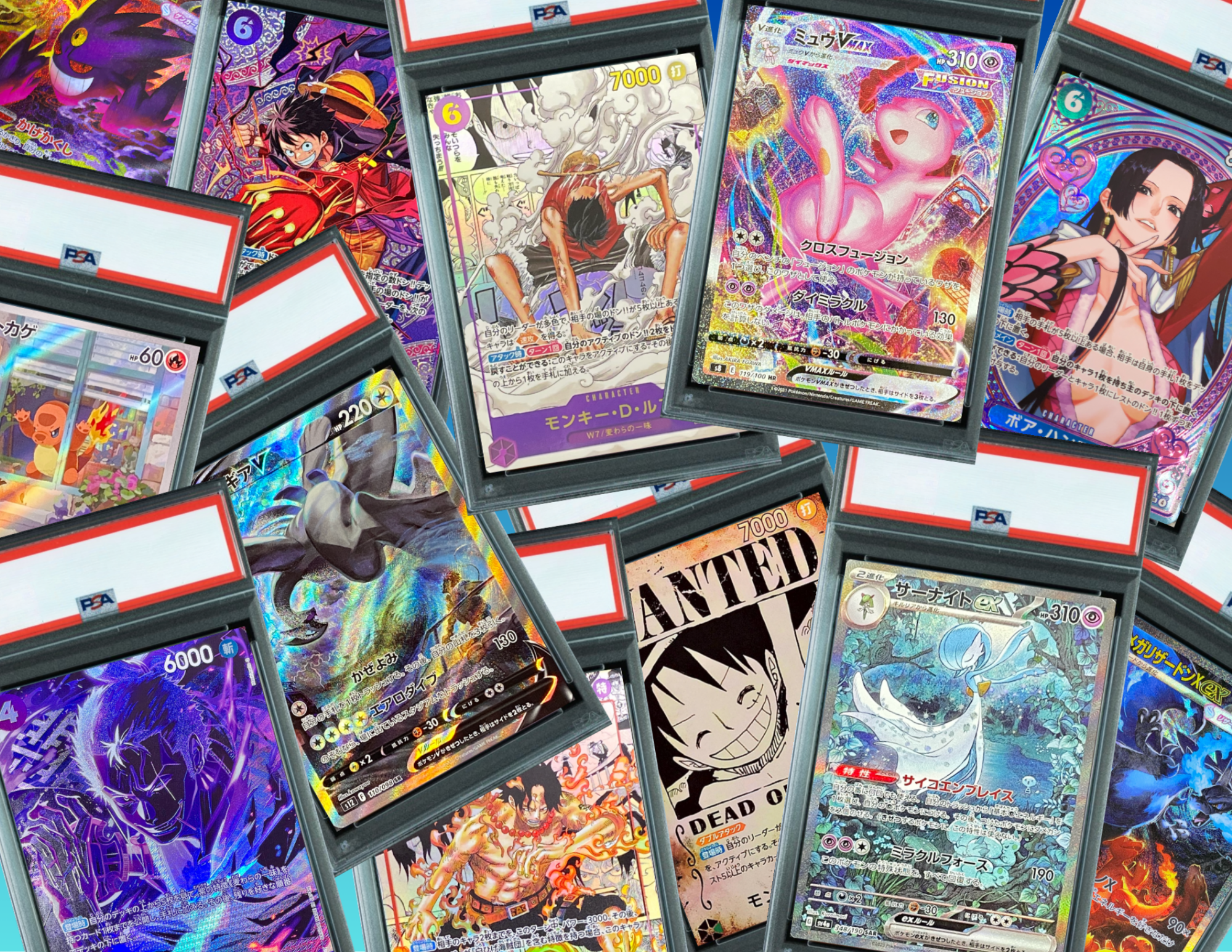 Japan TCG Direct