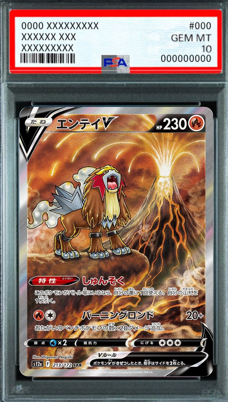 Entei V SAR [213/172] : PSA 10 Gem Mint : Pokemon Card Game